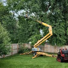 Best Arborist Consultation Services  in Attica, IN