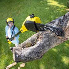 Best Lawn Watering Services  in Attica, IN