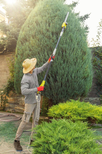 How Our Tree Care Process Works  in  Attica, IN